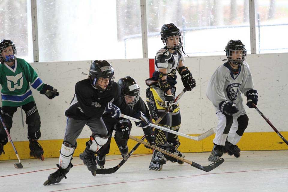 Inline Hockey at Risk